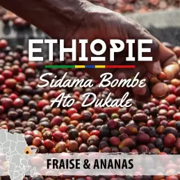 Éthiopie - Moka Sidama Bombe G1 - moulu photo numéro 1