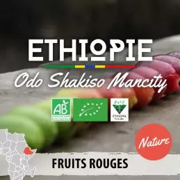 Éthiopie - Moka Guji Odo Shakiso Mancity - nature - café en grain photo numéro 1