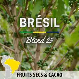 Brésil - Blend 25 - café moulu photo numéro 1