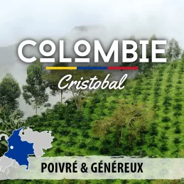 Colombie - San Cristobal - café en grains photo numéro 1