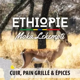 Éthiopie - Moka Lekempti - café moulu photo numéro 1