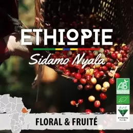 Éthiopie - Sidamo Nyala BIO - café en grain | 250g