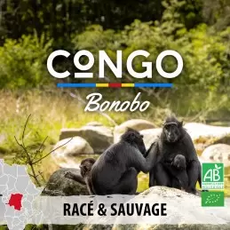 Congo - Bonobo Kivu Virunga BIO - café en grain-6000