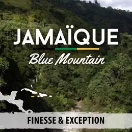 Café en grain de Jamaïque - Blue Mountains