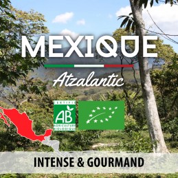 Café du Mexique BIO | Région de Chiapas | 250G moulus