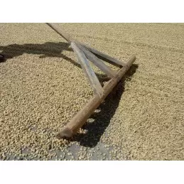 Pérou - San Ignacio bio - café en grain | photo 3