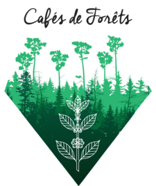 Bio Ethics
Café de forêt
Certifié Bio